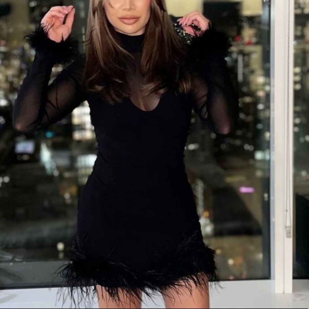 Long sleeve feather mini dress